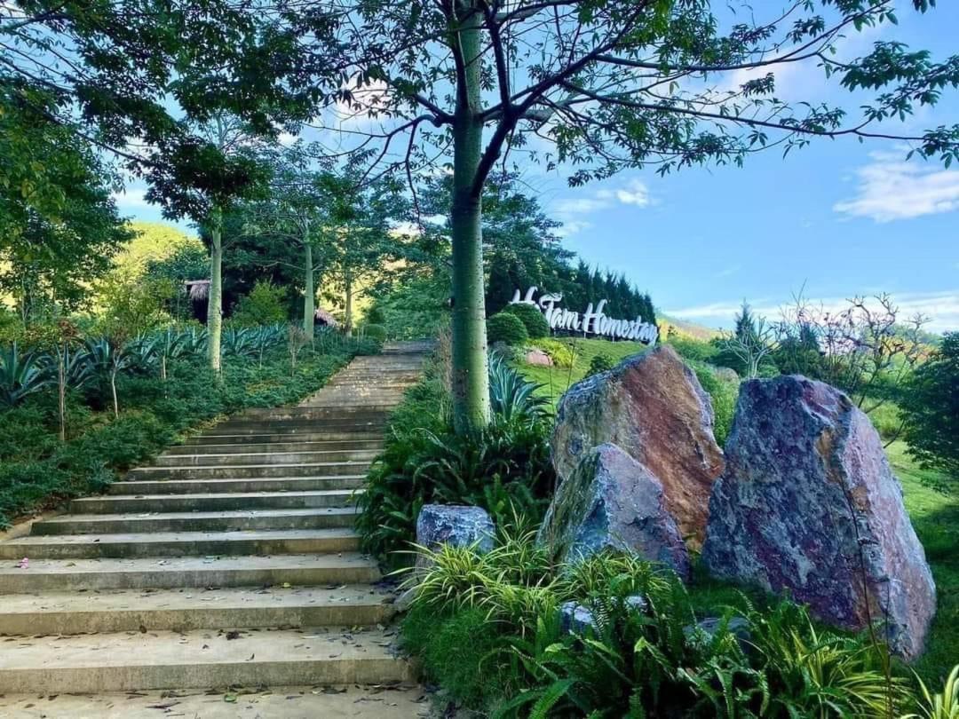 Ho Tam Homestay Hòa Bình Esterno foto
