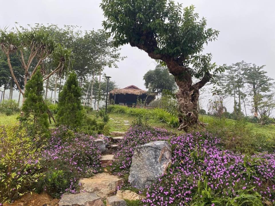 Ho Tam Homestay Hòa Bình Esterno foto